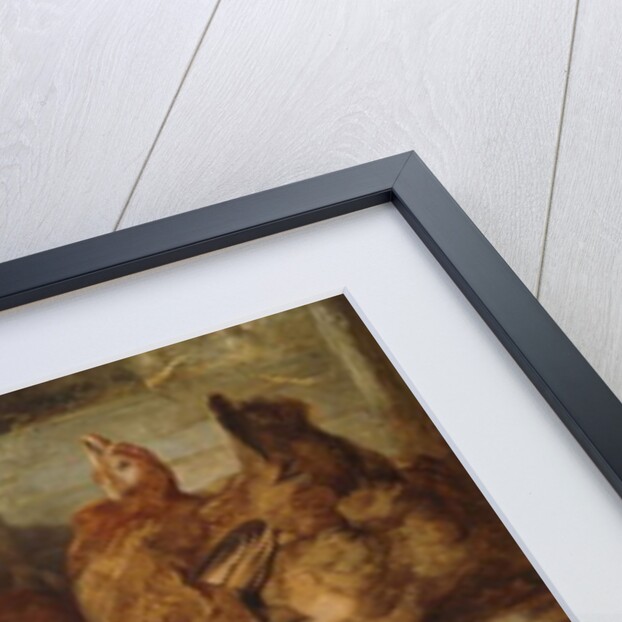 A Silver-Grey Rosecomb Cock and a White-Crested Black Poland with Two Buff Hens by Henry Weekes