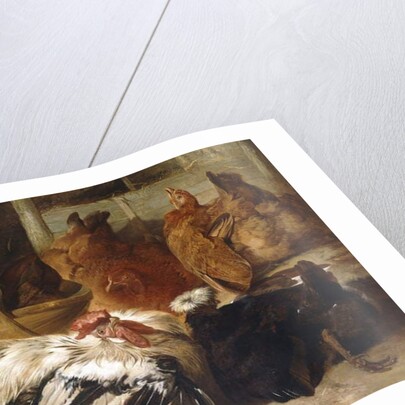 A Silver-Grey Rosecomb Cock and a White-Crested Black Poland with Two Buff Hens by Henry Weekes