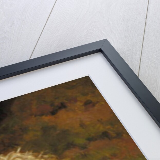 Soft Coated Wheaten Terrier by Alfred Duke