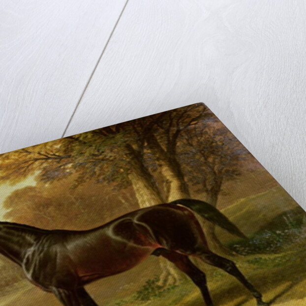 Glaucus by John Frederick Herring Snr