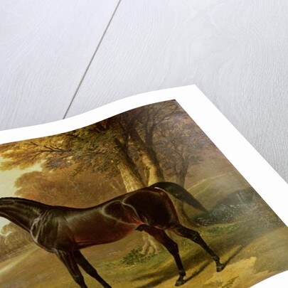 Glaucus by John Frederick Herring Snr