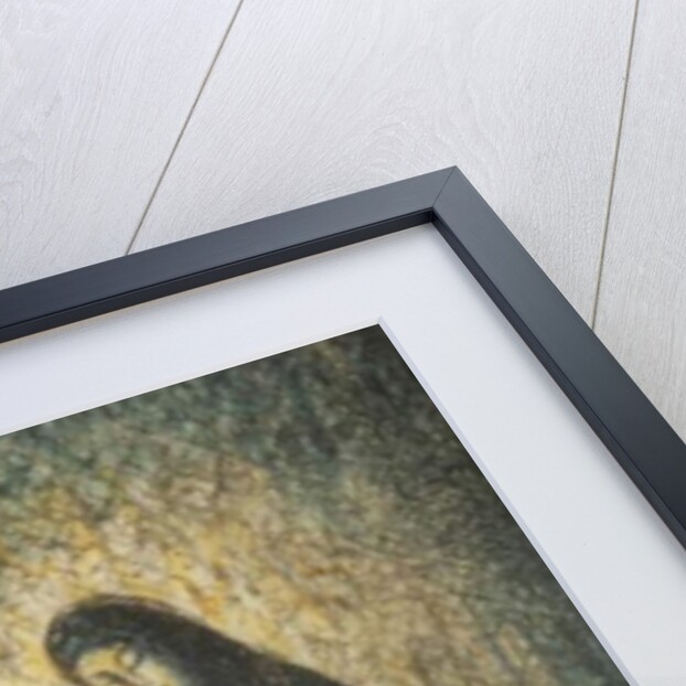 A Woman Lit by a Rainbow by Felix Elie Tobeen