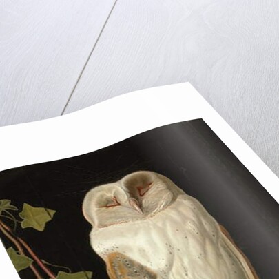 The White Owl: 'Alone and warming his five wits, the white owl in the belfry sits', 1856 by William J. Webbe