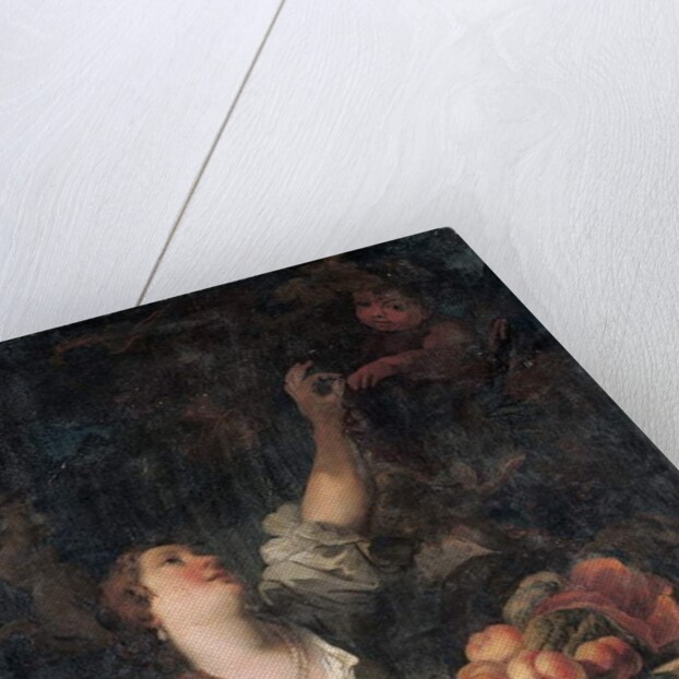 A woman picking grapes and a putto by a Classical pedestal adorned with fruit by Il & Brueghel Abraham Borgognone