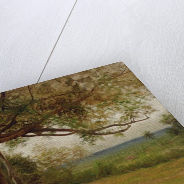 Study for 'The Landing of Columbus', 1892 by Albert Bierstadt