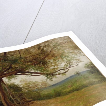 Study for 'The Landing of Columbus', 1892 by Albert Bierstadt