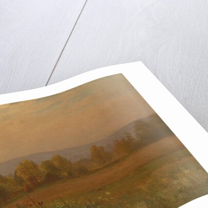 Untitled by Albert Bierstadt