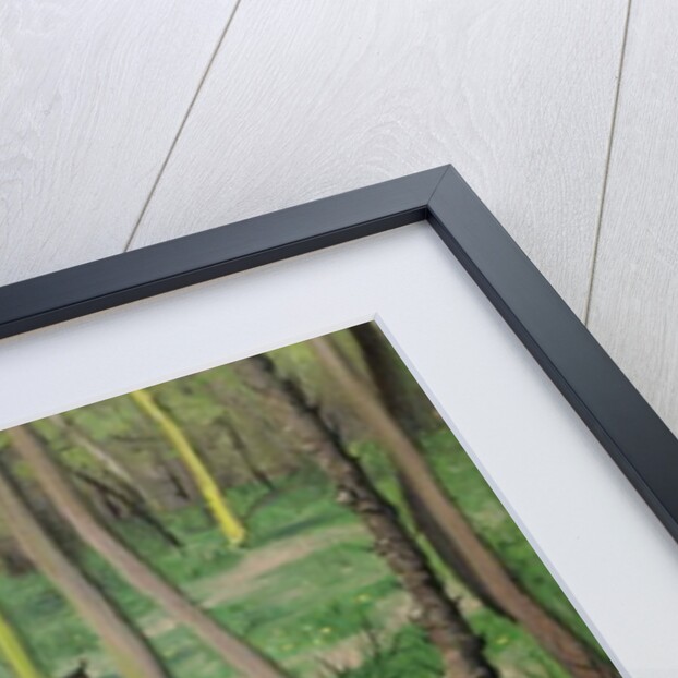 Undergrowth in Spring, 1923 by Felix Edouard Vallotton