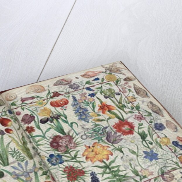 Pages from the Album Amicorum of Philipp Hainhofer, 1596-1633 by School European