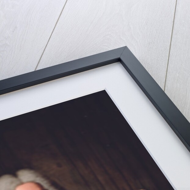 Portrait of Charles-Gaspard Dodun, Marquis d'Herbault by Hyacinthe Francois Rigaud