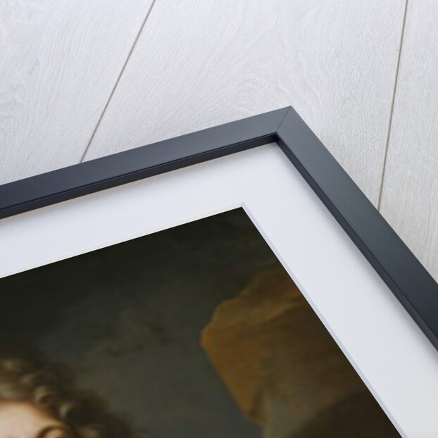 Portrait of a gentleman by Hyacinthe Francois Rigaud