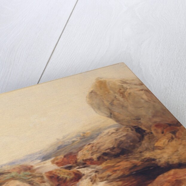 On the Moors, 1843 by Francis William Topham