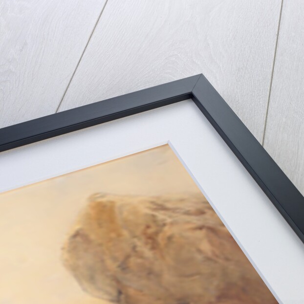 On the Moors, 1843 by Francis William Topham