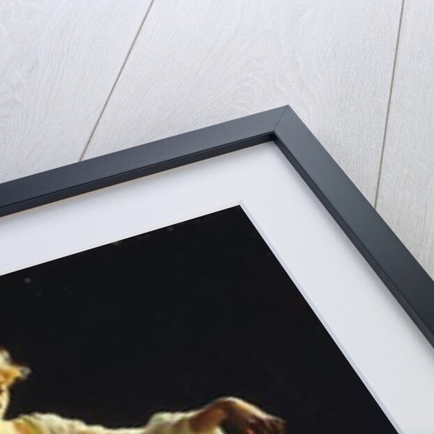 The Goldfish, 1911 by Charles Courtney Curran