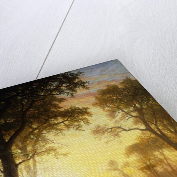 Light in the Forest by Albert Bierstadt
