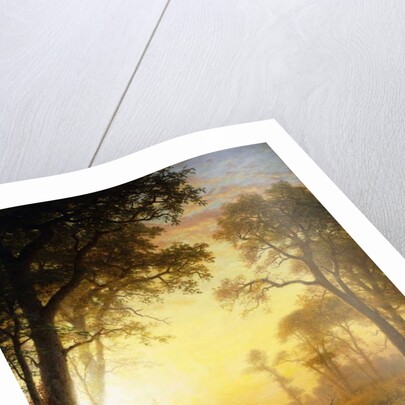 Light in the Forest by Albert Bierstadt