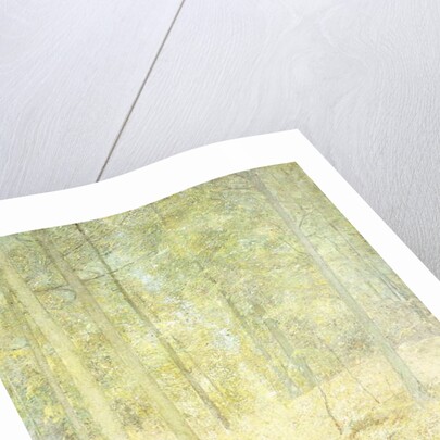 A Woodland Scene by Emil Carlsen