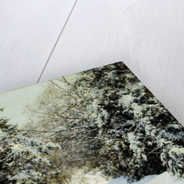 Snow-Laden Trees, 1887 by Walter Launt Palmer