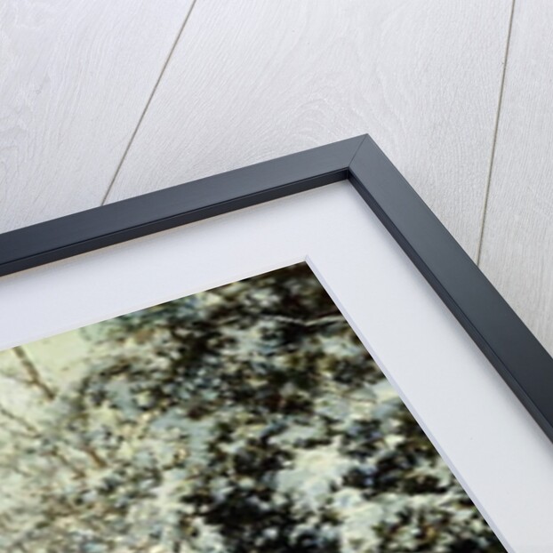 Snow-Laden Trees, 1887 by Walter Launt Palmer