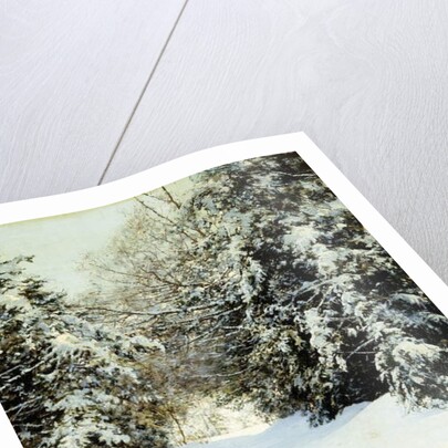 Snow-Laden Trees, 1887 by Walter Launt Palmer