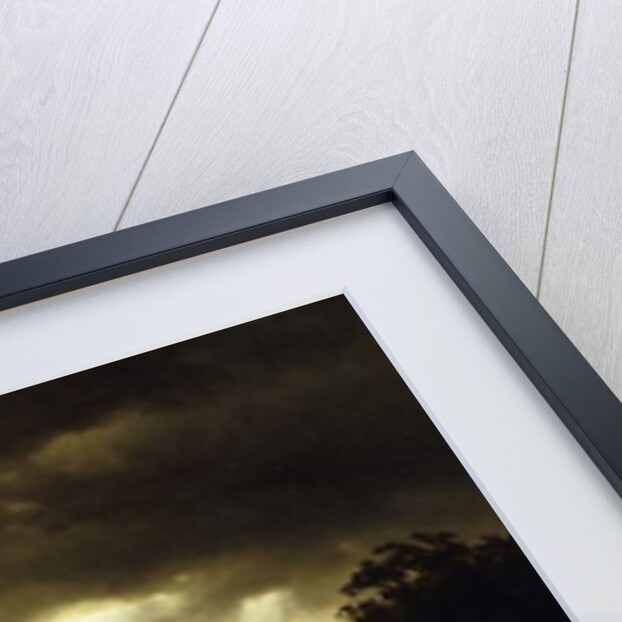 Passing Storm in Yosemite, 1865 by Albert Bierstadt