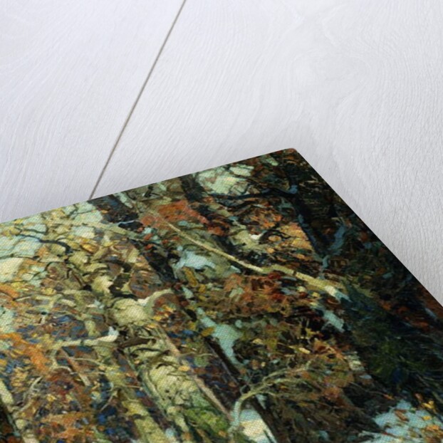 Aisles of the Forest, Berkshires by John Fabian Carlson