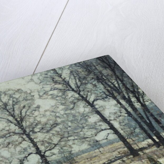 Winter Hickories by John Fabian Carlson