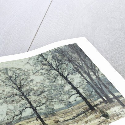 Winter Hickories by John Fabian Carlson