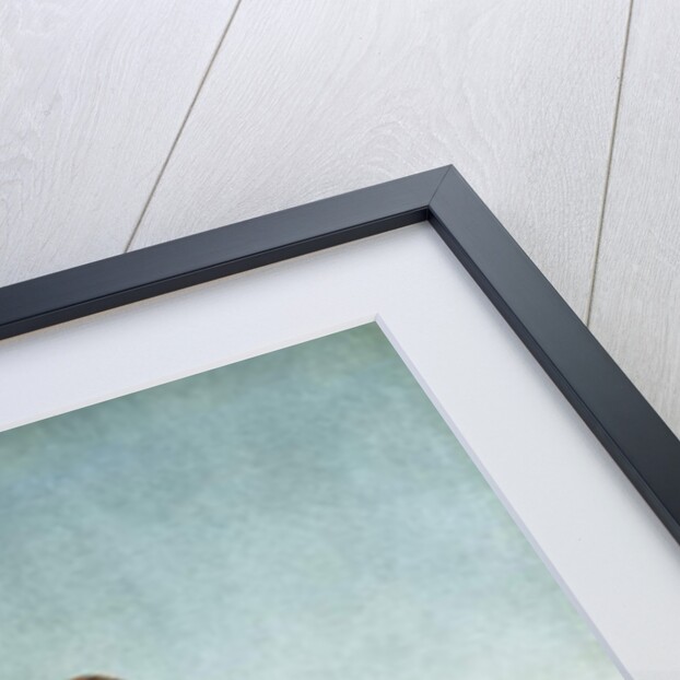 Bronco Rider, 1908 by William Herbert 'Buck' Dunton