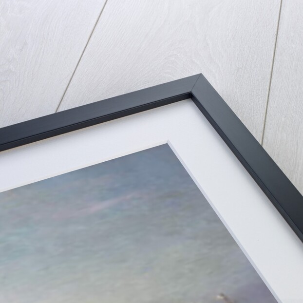 Liberty Island, New York Harbor, 1883 by Fred Pansing