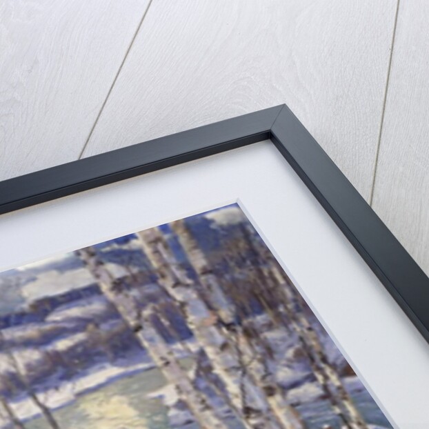 Mountain Stream by Philip H. Wolfrom