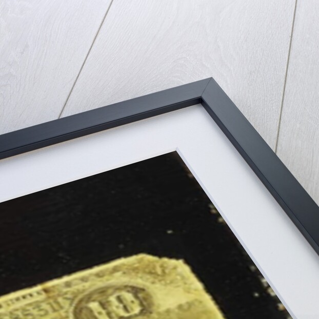 The Ten Dollar Bill by Nicolas Alden Brooks