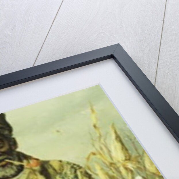 The Possum Hunter by William Aiken Walker