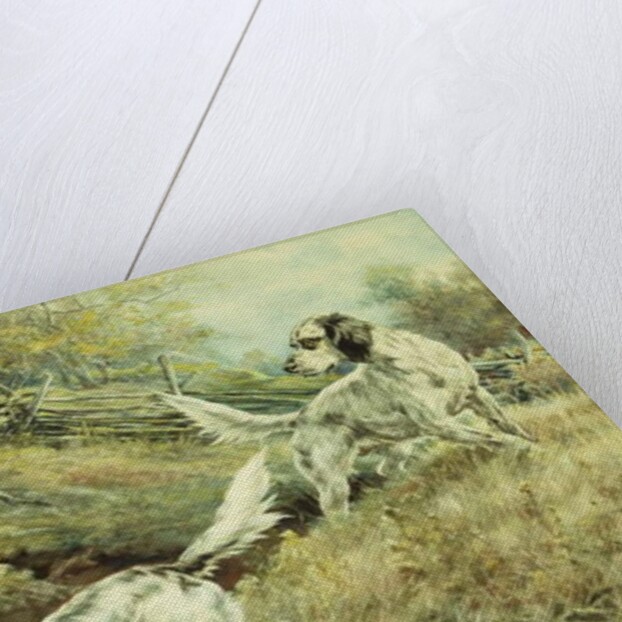 The Drop by Edmund Henry Osthaus