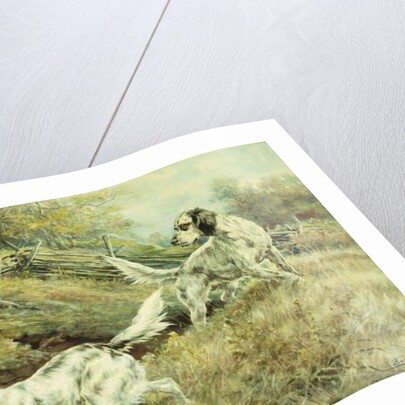 The Drop by Edmund Henry Osthaus