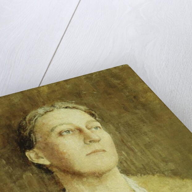 Portrait of the Artist's Wife by Emil Carlsen