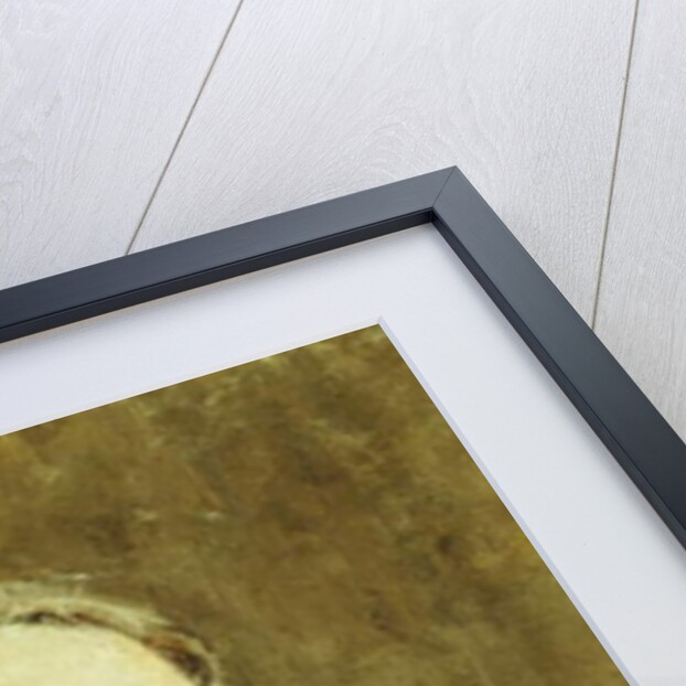 Portrait of the Artist's Wife by Emil Carlsen