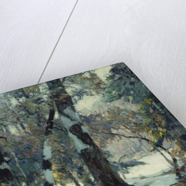 Silent Places by John Fabian Carlson