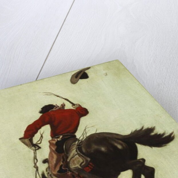 Bucking Bronco, 1903 by Newell Convers Wyeth