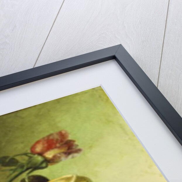 Roses, Peaches and Cherries, 1891 by Robert Spear Dunning