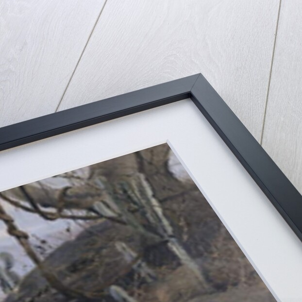 Lion and Lioness; Lowe und Lowin by Wilhelm Kuhnert