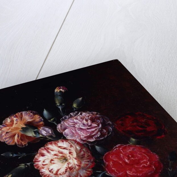 Carnations by Johan Laurents Jensen