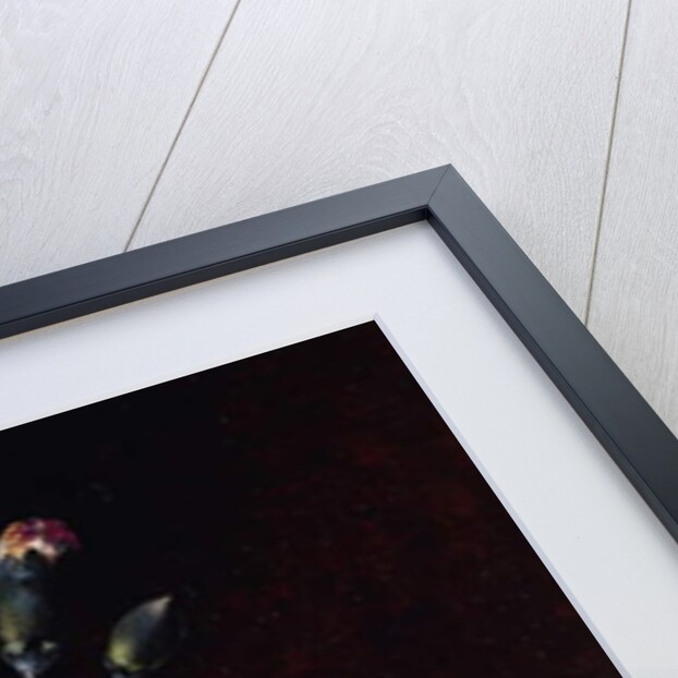 Carnations by Johan Laurents Jensen