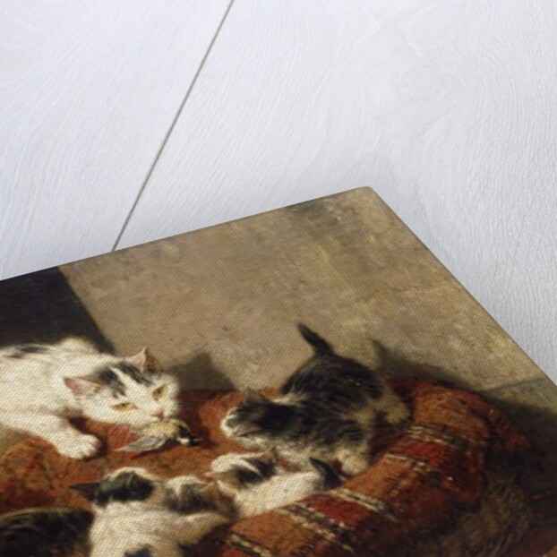 A Feathered Gift by Henriette Ronner-Knip