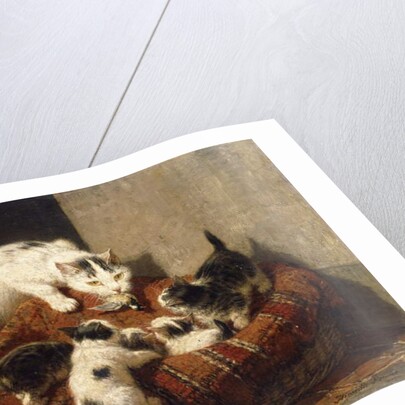 A Feathered Gift by Henriette Ronner-Knip