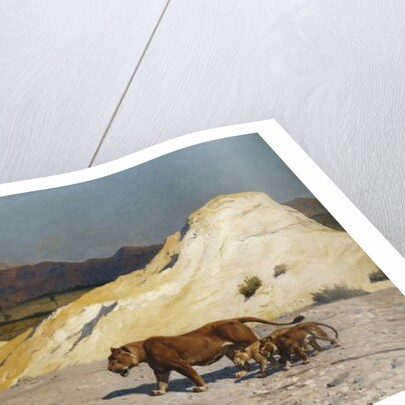 Lioness and Cubs; Lionne et Lioceaux by Jean Leon Gerome