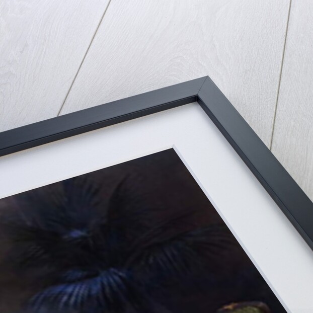 An Interior with a Louis XV Style Ormulu-mounted and Parquetry Bureau Plat and Bibliotheque43.4cm., by French School