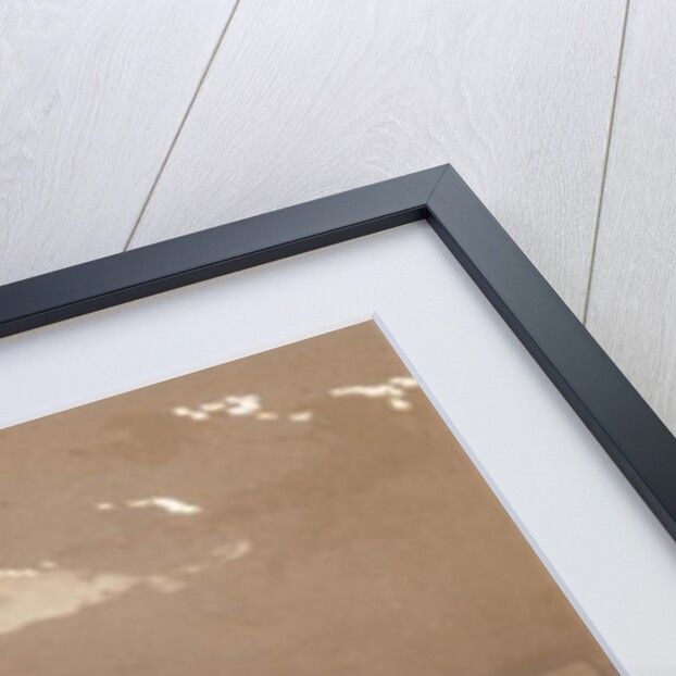 Fragments of the Great Colossi at the Memnonium, Thebes, 1838 by David Roberts