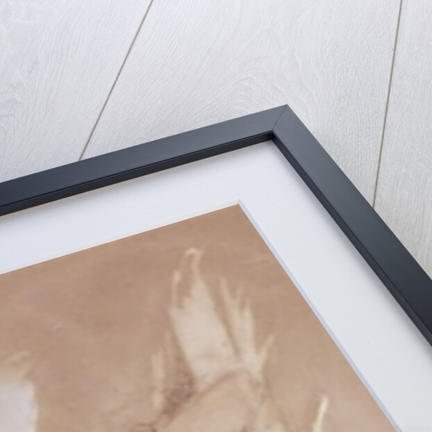 The Triumphal Arch crossing the Ravine leading to Petra, 1839 by David Roberts