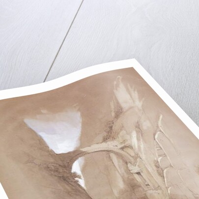 The Triumphal Arch crossing the Ravine leading to Petra, 1839 by David Roberts